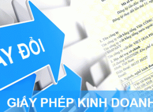 Giấy phép đăng ký kinh doanh vinaland