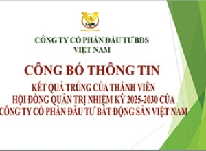 KẾT QUẢ TRÚNG CỦA THÀNH VIÊN HỘI ĐỒNG QUẢN TRỊ NHIỆM KỲ 2025-2030 CỦA CÔNG TY CỔ PHẦN ĐẦU TƯ BẤT ĐỘNG SẢN VIỆT NAM