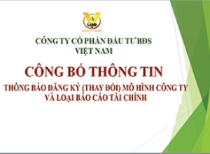 THÔNG BÁO ĐĂNG KÝ (THAY ĐỔI) MÔ HÌNH CÔNG TY VÀ LOẠI BÁO CÁO TÀI CHÍNH
