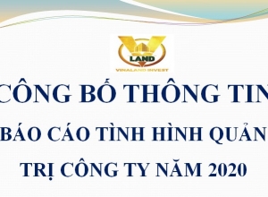 BÁO CÁO TÌNH HÌNH QUẢN TRỊ CÔNG TY NĂM 2020